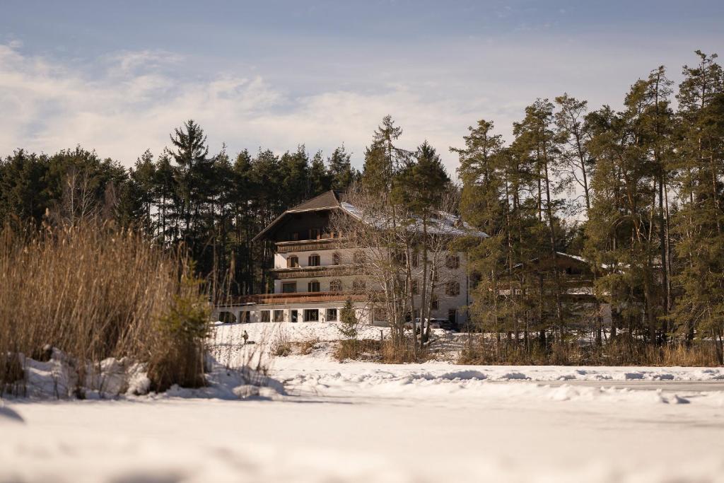 Hotel Waldsee - 1