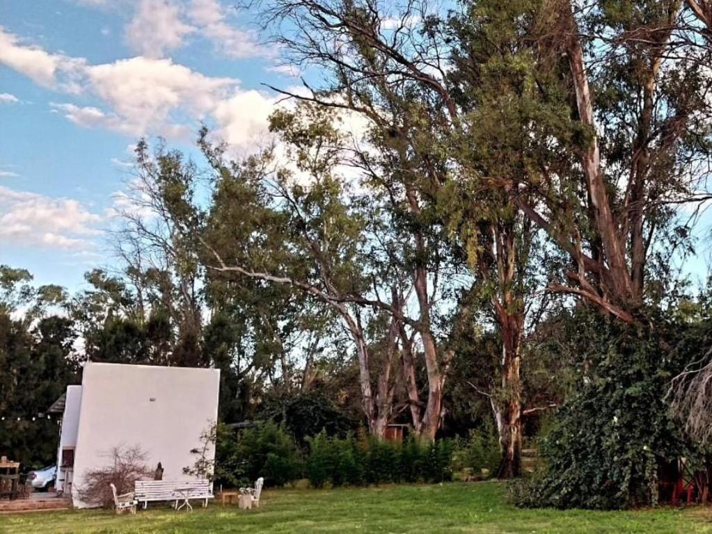 La Nave Bosque y Rio - 3