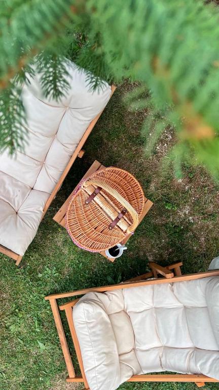 Durmitor glamping - 4