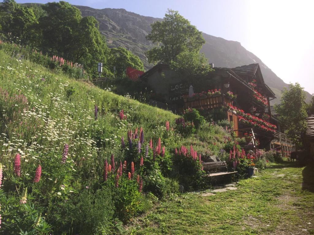 le petit coin montagne 4 - 5