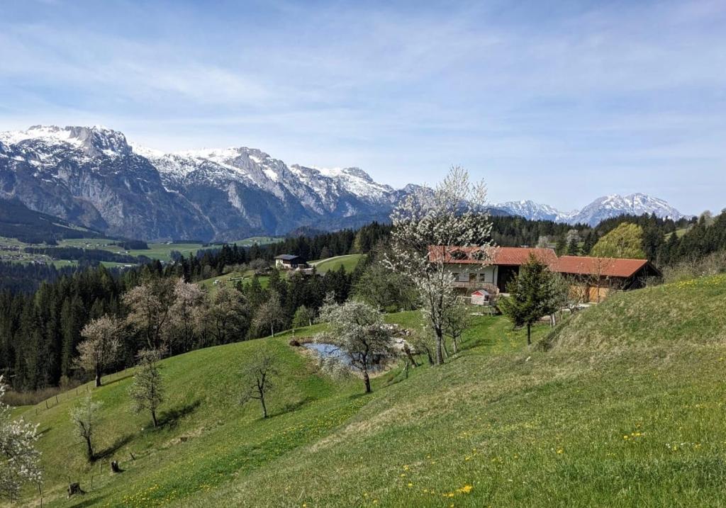 Hörndlhof - 4