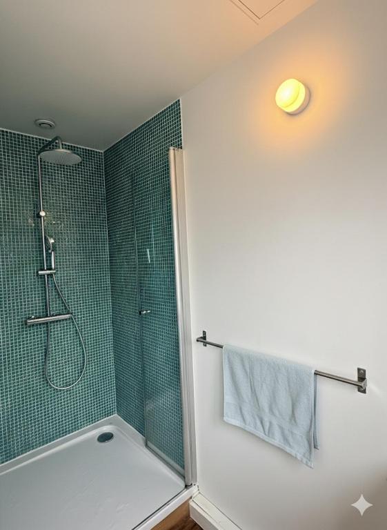 Nice appartment with terrace near Roland Garros - 5