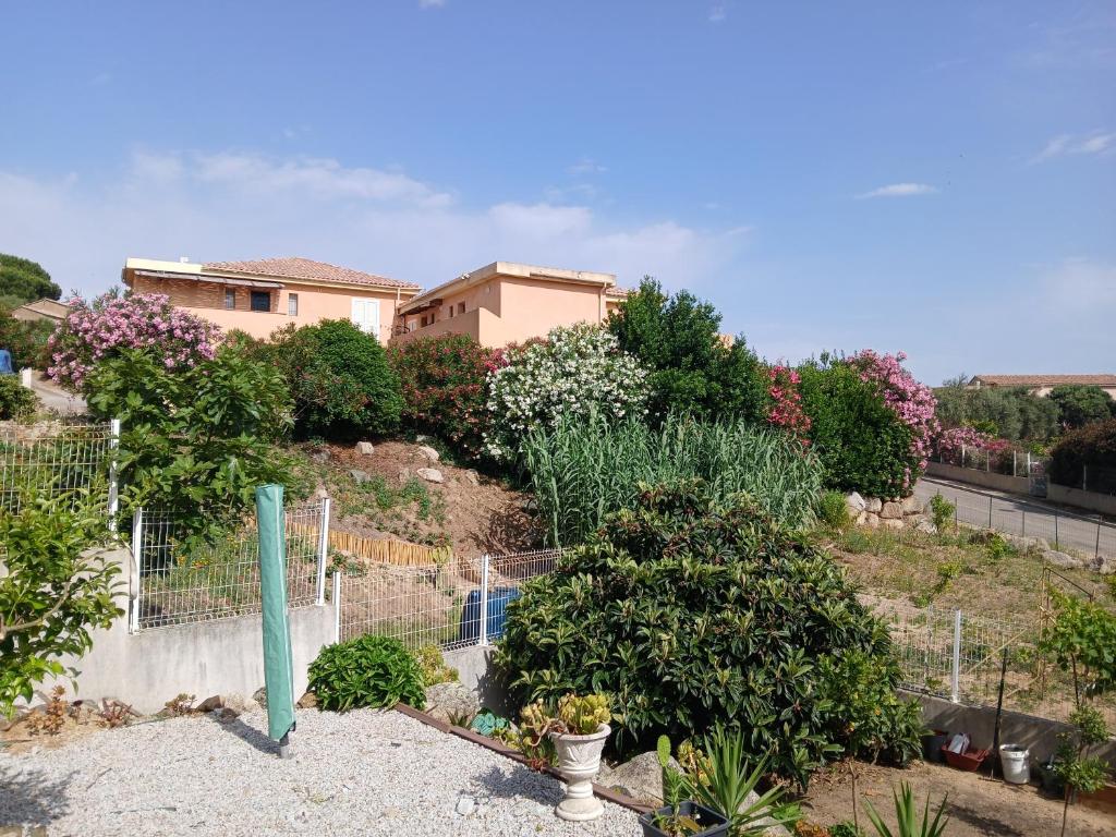 grand appartement CALVI - 3