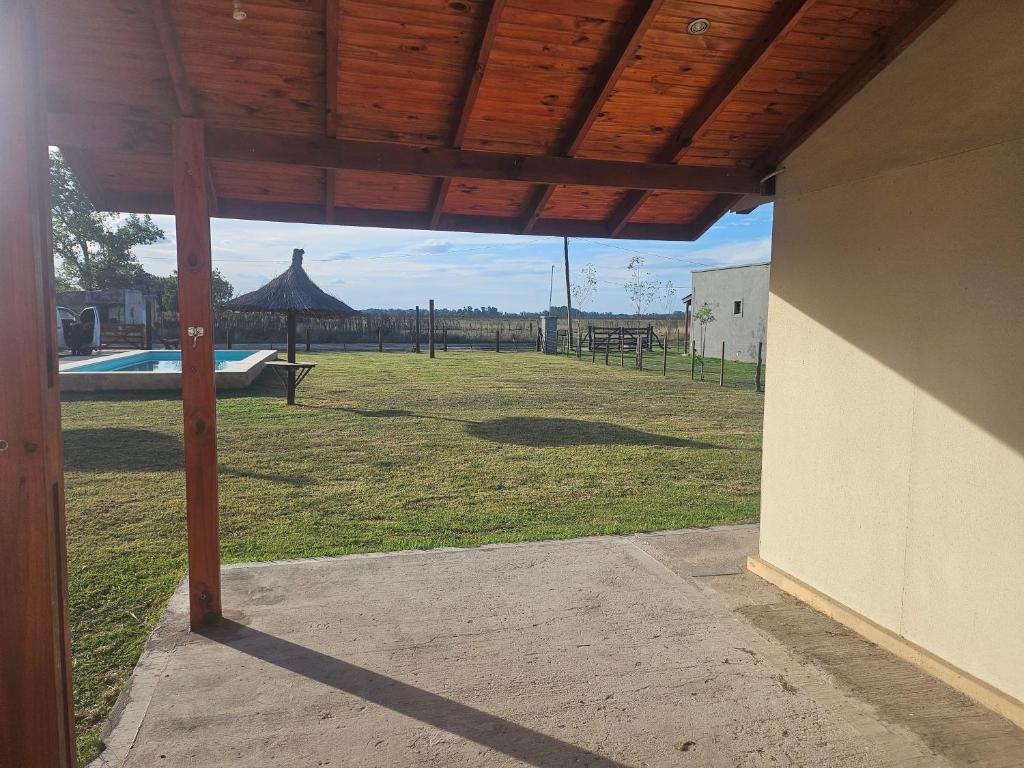 Las Nietas de Domselaar ll - 4