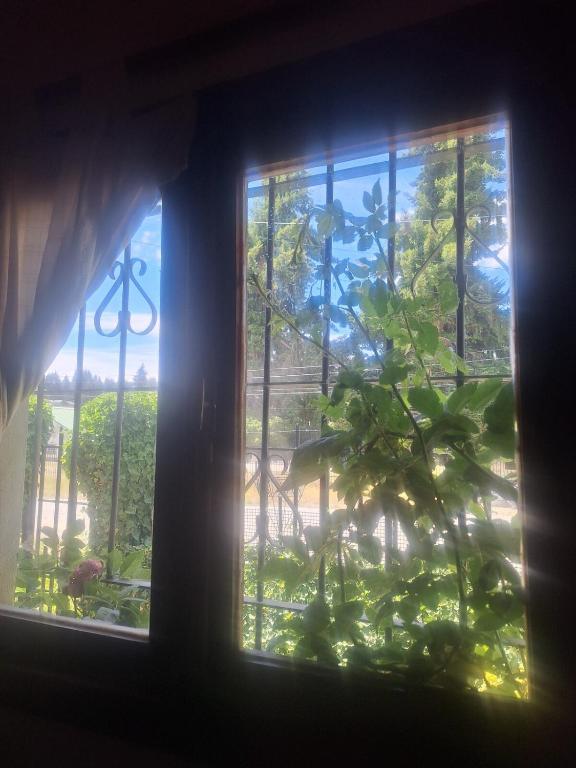 Casa amplia cerca del centro Con jardin parrilla y parking - 5