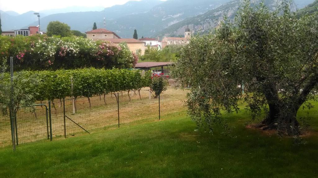 Casa Torboli 2 - 2