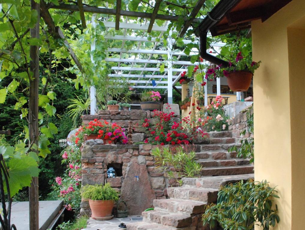 Am Berggarten — Hotel in Heidelberg