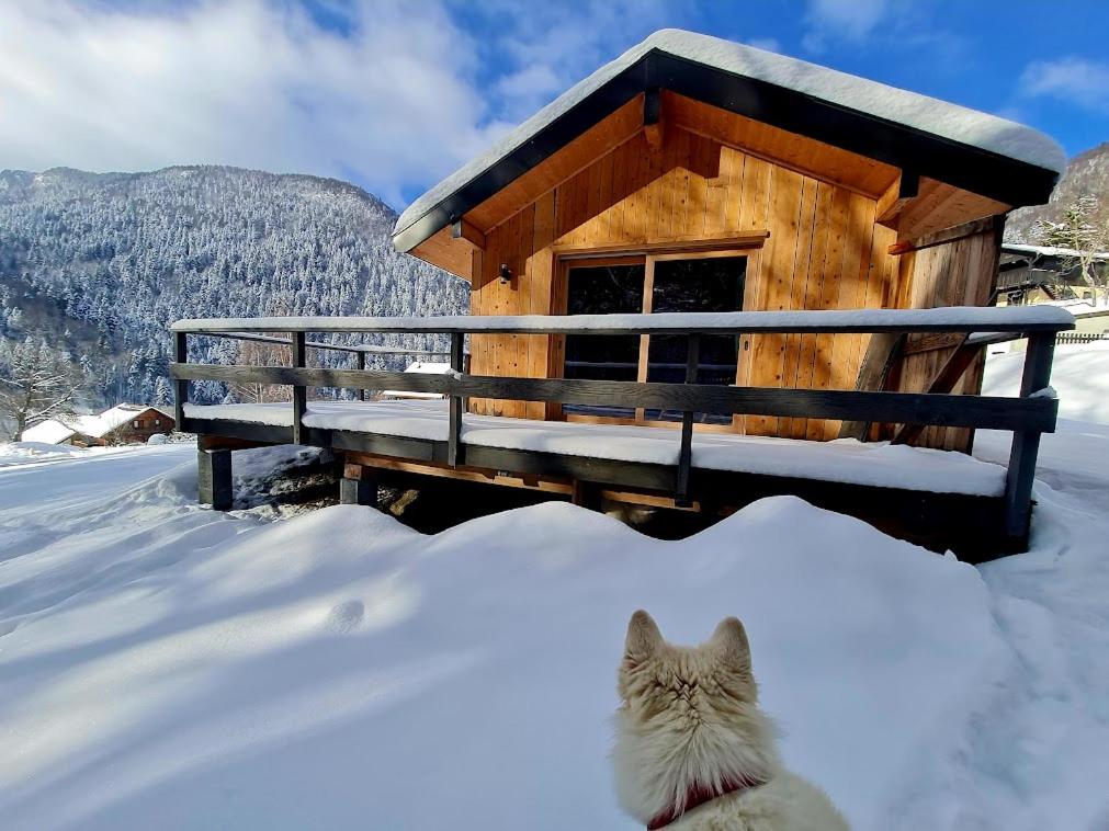 Le Chalet Du Blanc Spa yoga - 3