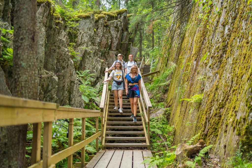 Surrounding environment