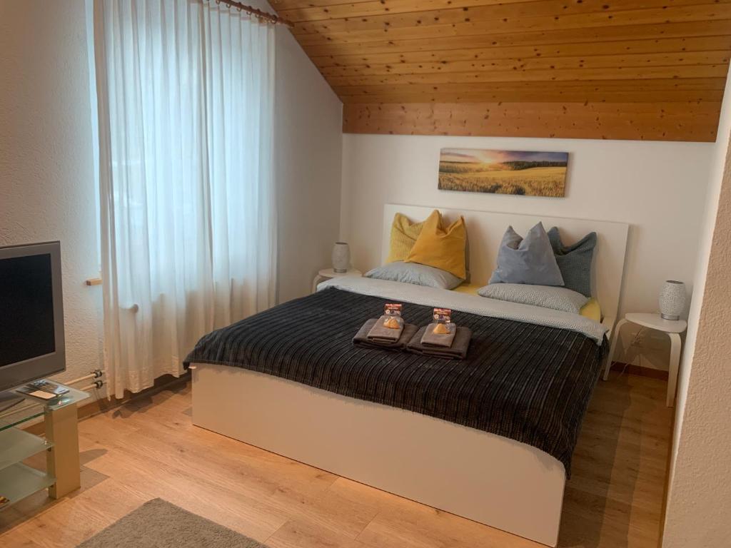 Studio Central Grindelwald - 4