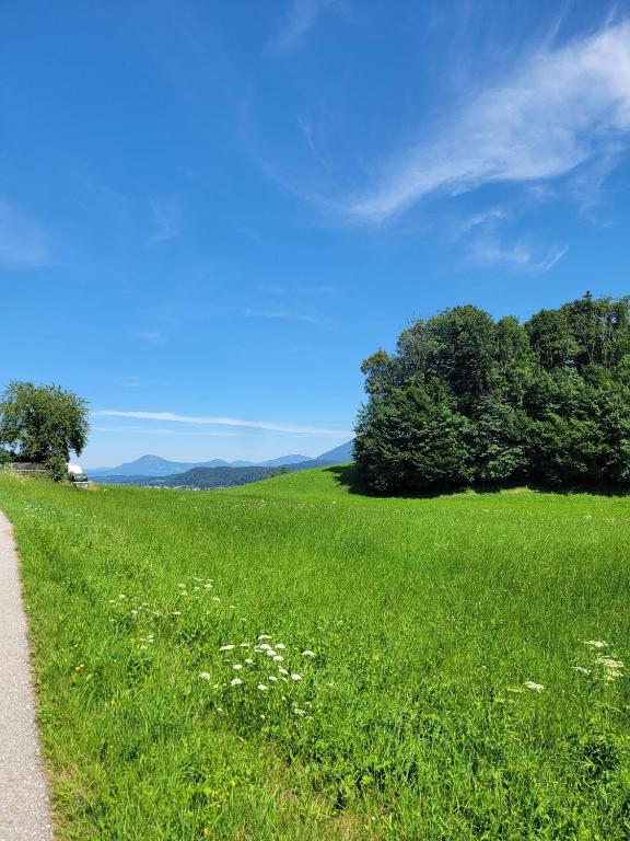 Landhaus Fellnerbauer - 5