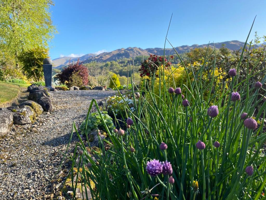 Elterwater Park self catering photo 8