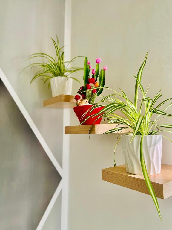 Katrin house - 5