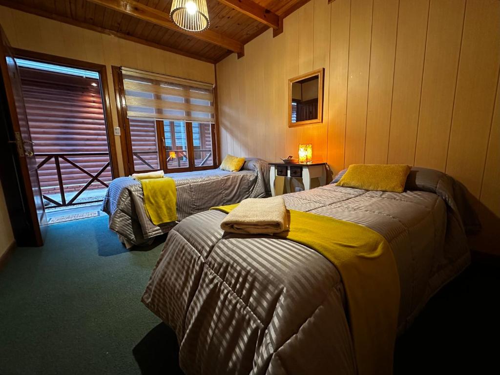 Araucaria, Casa Patagonica - 3