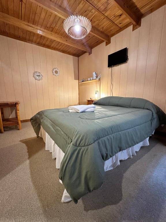 Araucaria, Casa Patagonica - 4