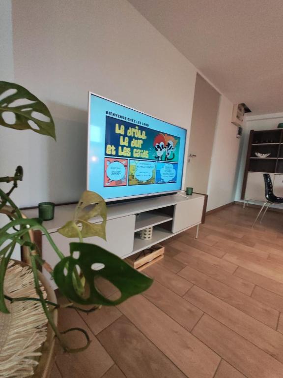 Les Deux Oliviers T2 Cozy Clim Free Parking - 5