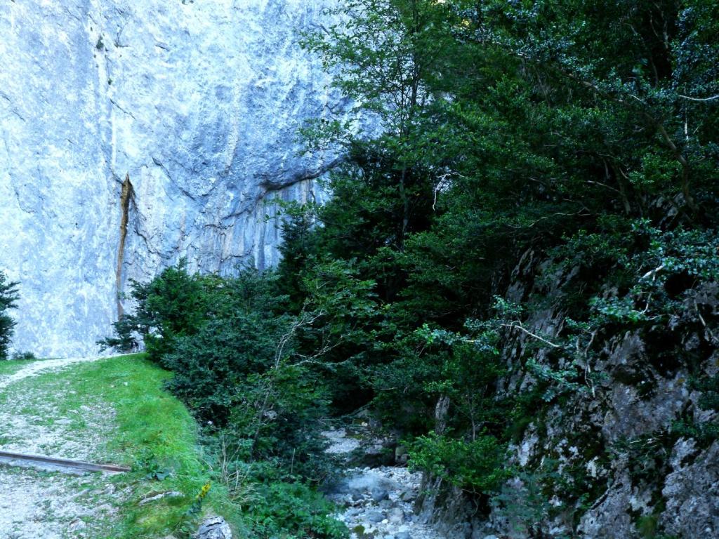 Palais Cathare photo