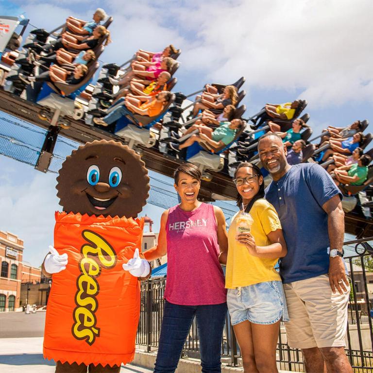 アクティビティ