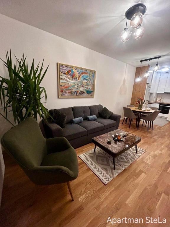 SteLa Apartman - 3