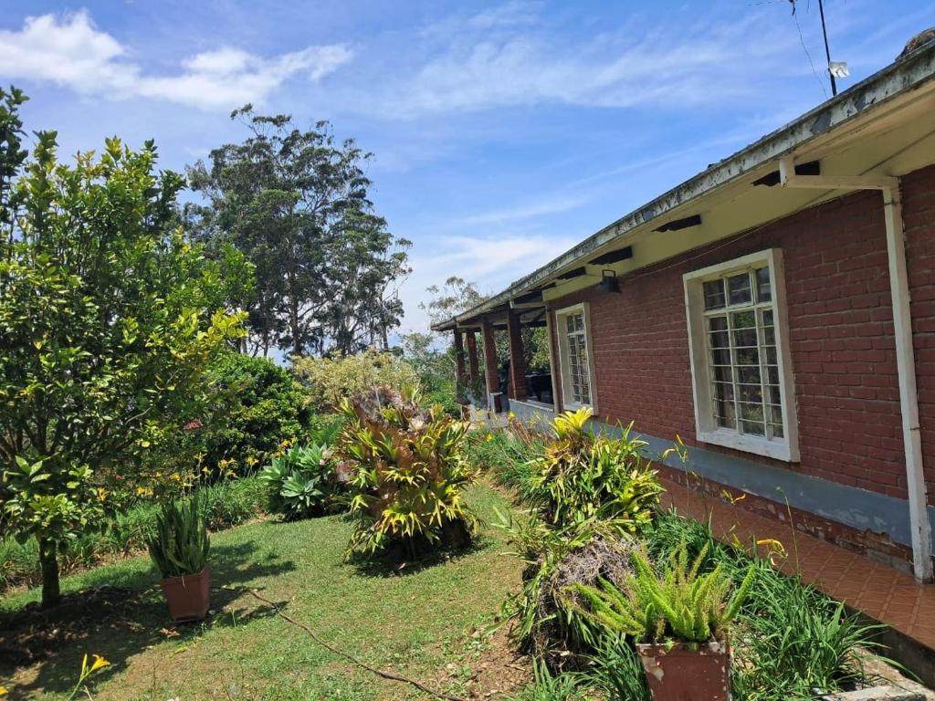 Villa Tahiti - 3