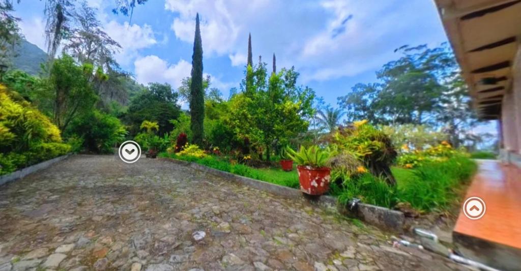 Villa Tahiti - 4