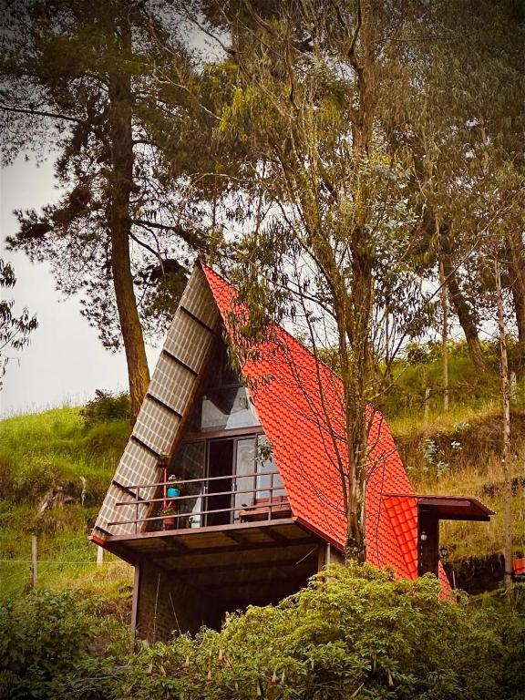 Pacha Glamping Experience - 1