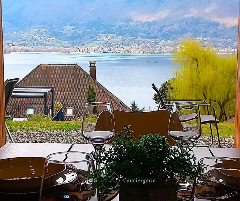 Splendide Vue sur le Lac ! 5mn des plages, parking privé - 4