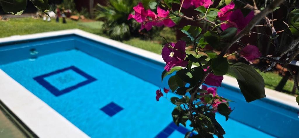 Alojamiento Patio Tejada para 2 Piscina y parrilla - 2