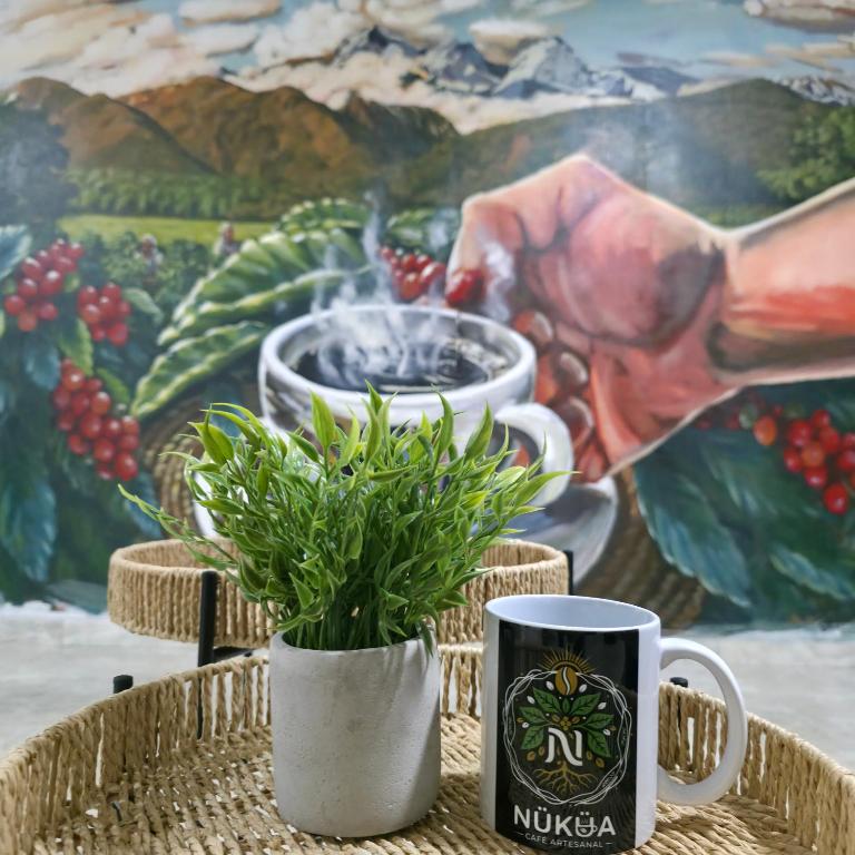 Casa Café Nukua - 1