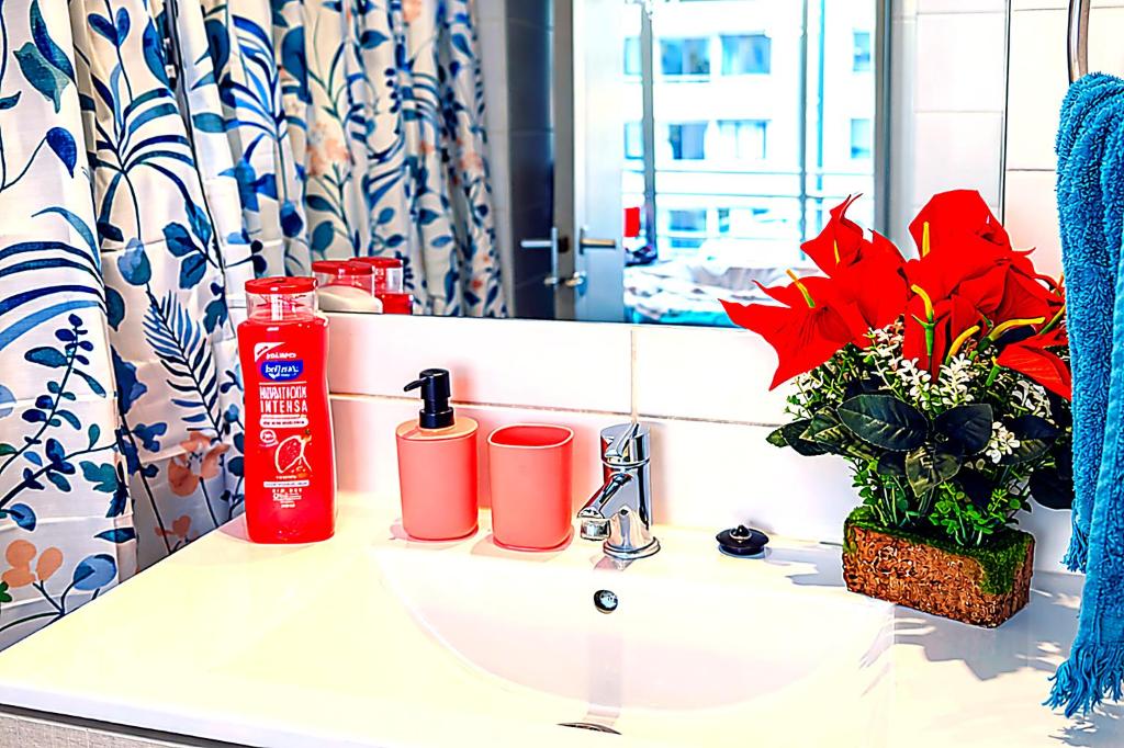 2 dormitorios dos baños metro Cal y Canto - 5