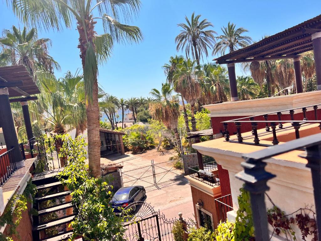 View