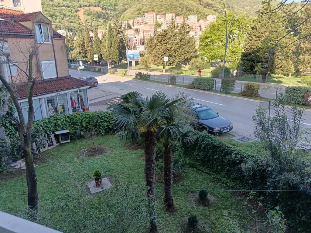 Saša Budva - 4