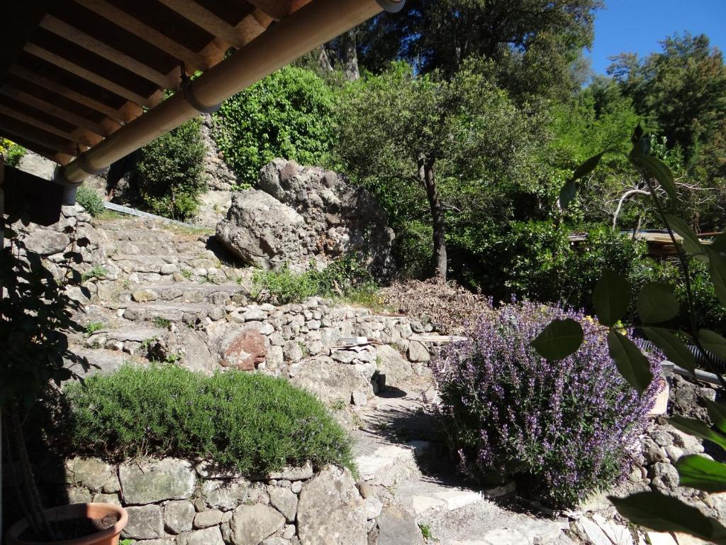 Les Chenes Biot - 5