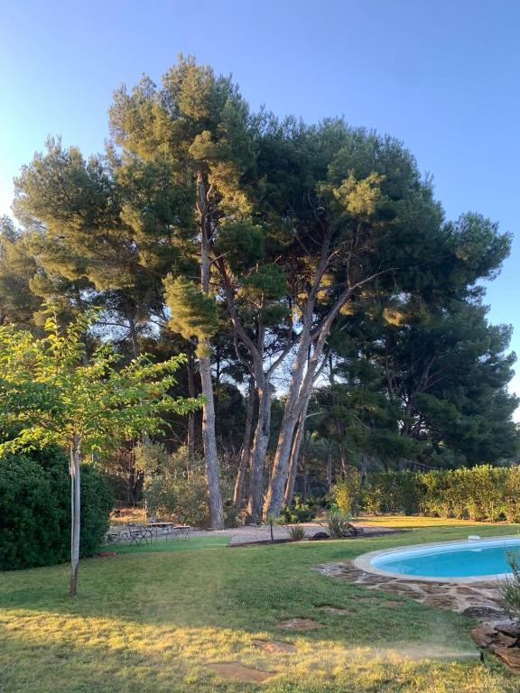 Magnifique villa sur la baie de la Ciotat - 4