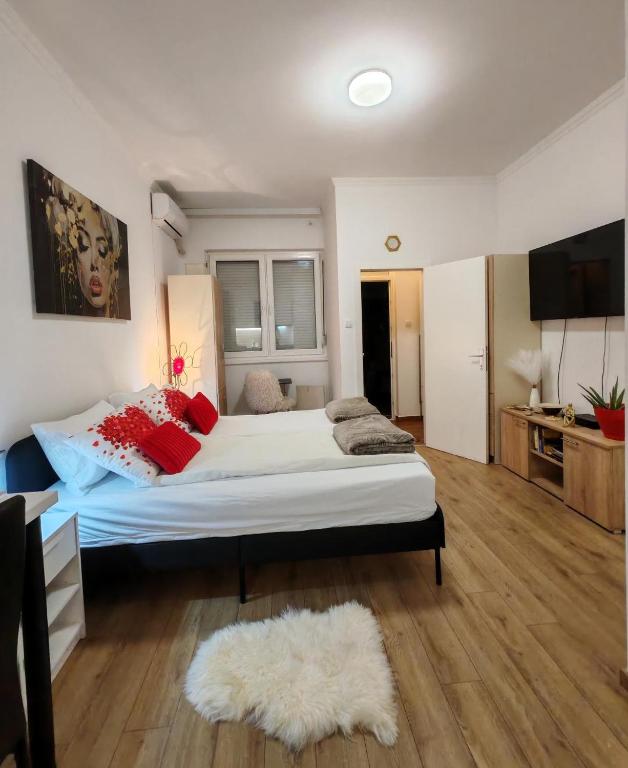 Central cozy cute studio - 3