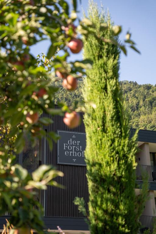 Boutique Hotel Der Forsterhof - 5