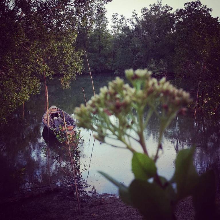 Surrounding environment