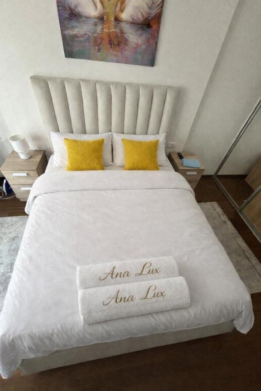 Ana Lux Master apartament - 3