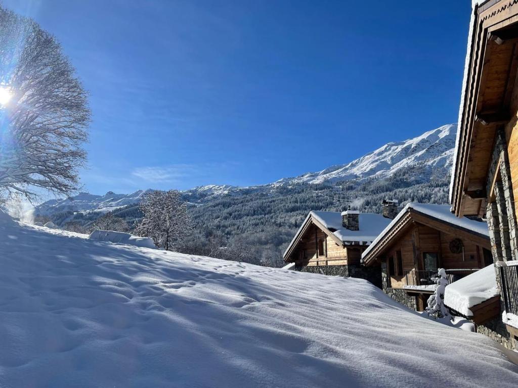 Chalet Mademoiselle - 4