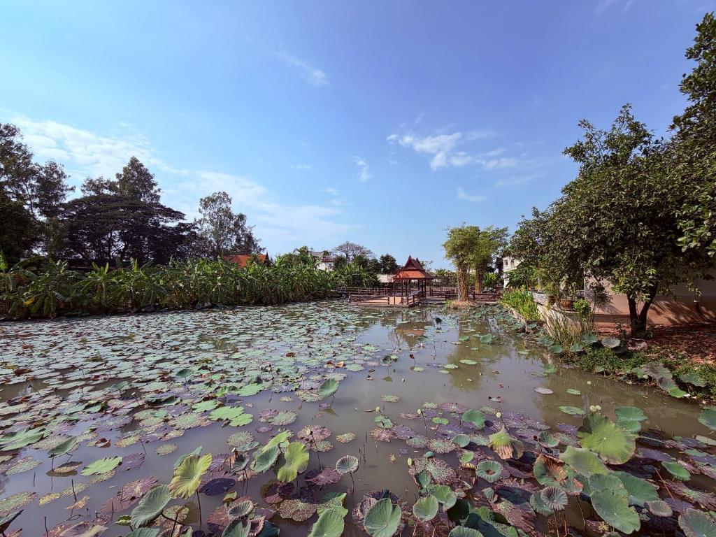 Surrounding environment