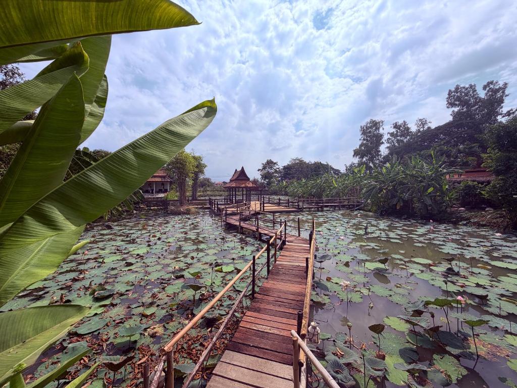 Surrounding environment