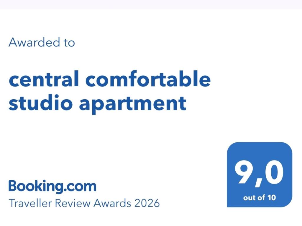central comfortable studio apartment - 2