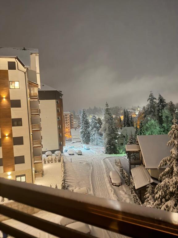 Prestige Forest Resort Zlatibor Wellness & Spa - 5