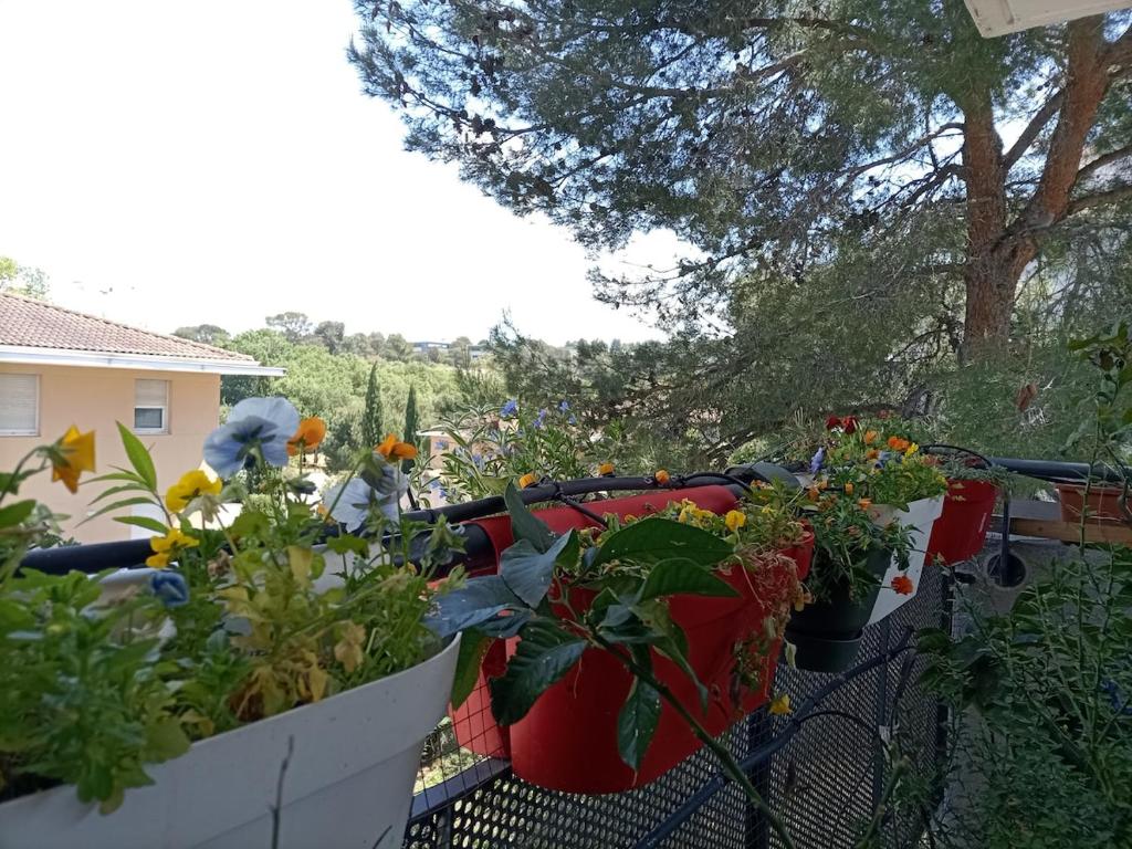 T2 lumineux balcon, parking facile, climatisation, Wi-Fi - 5