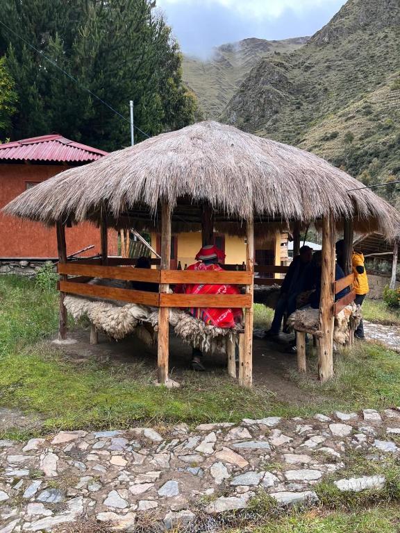 Patacancha Indigenous community of Ollantaytambo - 2