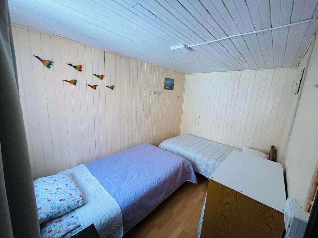 Cabaña Terraza Choshuenco - 5