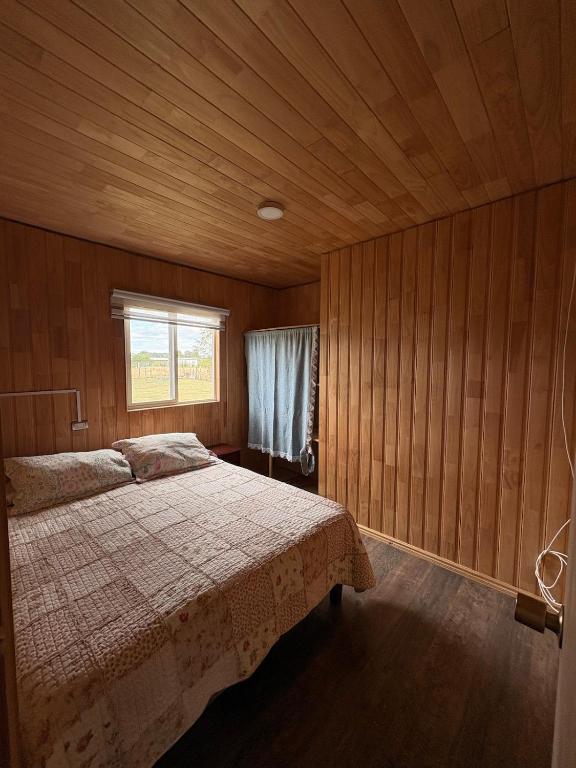 Country house, Puerto Octay - 2