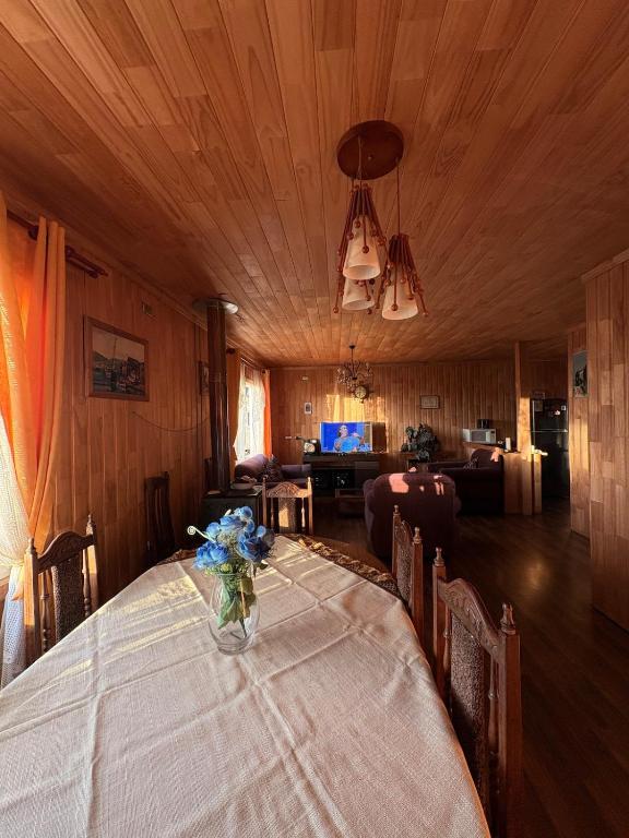 Country house, Puerto Octay - 4