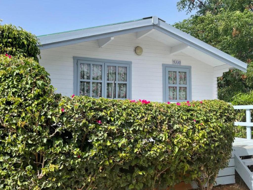 Bungalow Terrasse à Marbella - Pour Couples - API-1-52-1893 - 1