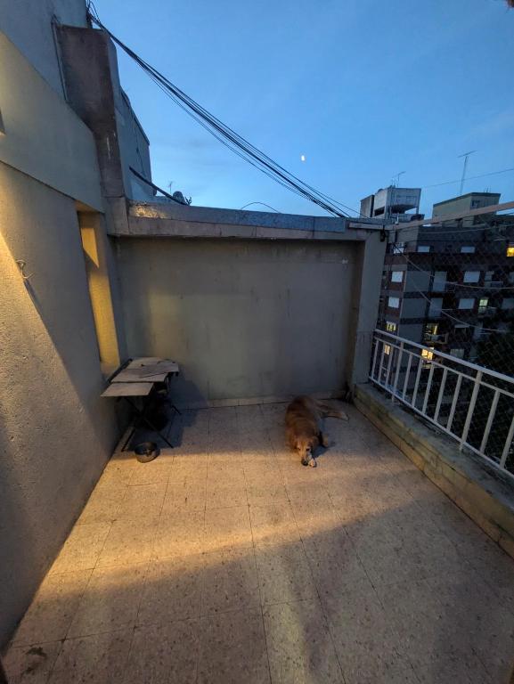 balcon terraza, ultimo piso zona del torreon y shoping Aldrey - 4
